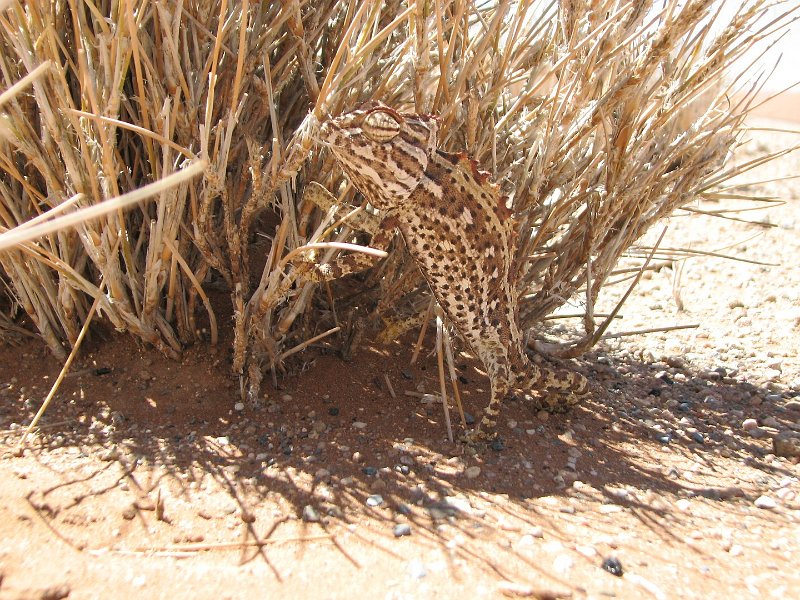 c_2015_09_05 12_57_26_267